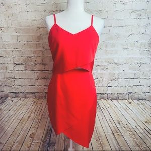 “Elliott”/ Revolve  The Shot Tulip Cocktail Dress
